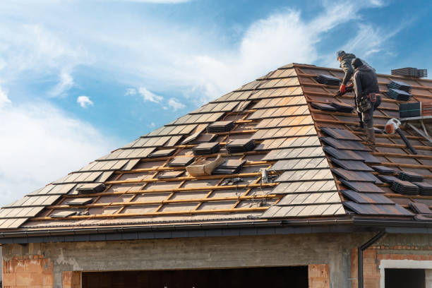 Best Chimney Flashing Repair  in Oglesby, IL